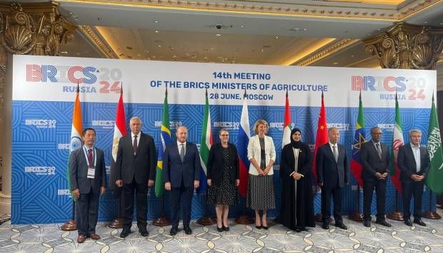 تجمع البريكس.. ترحيب بمقترح إنشاء منطقة لوجيستية لتخزين وتوزيع الحبوب بمصر