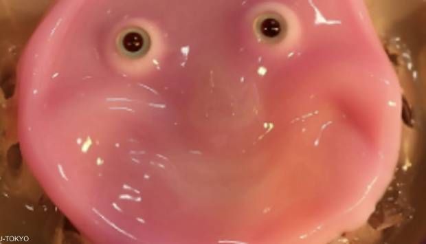 إنجاز جديد.. روبوت يبتسم بشكل طبيعي