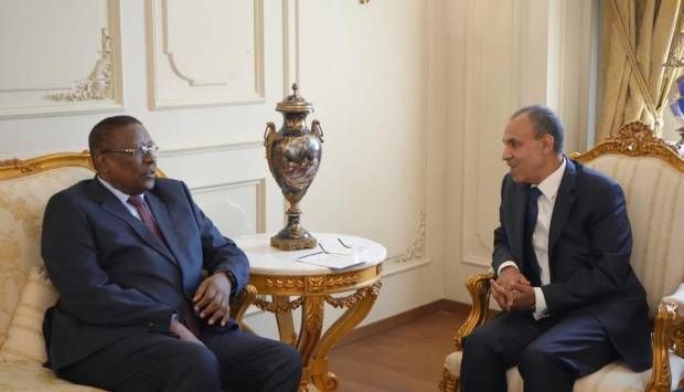 وزير خارجية تشاد يسلم عبد العاطي رسالة من ديبي إلى الرئيس السيسي
