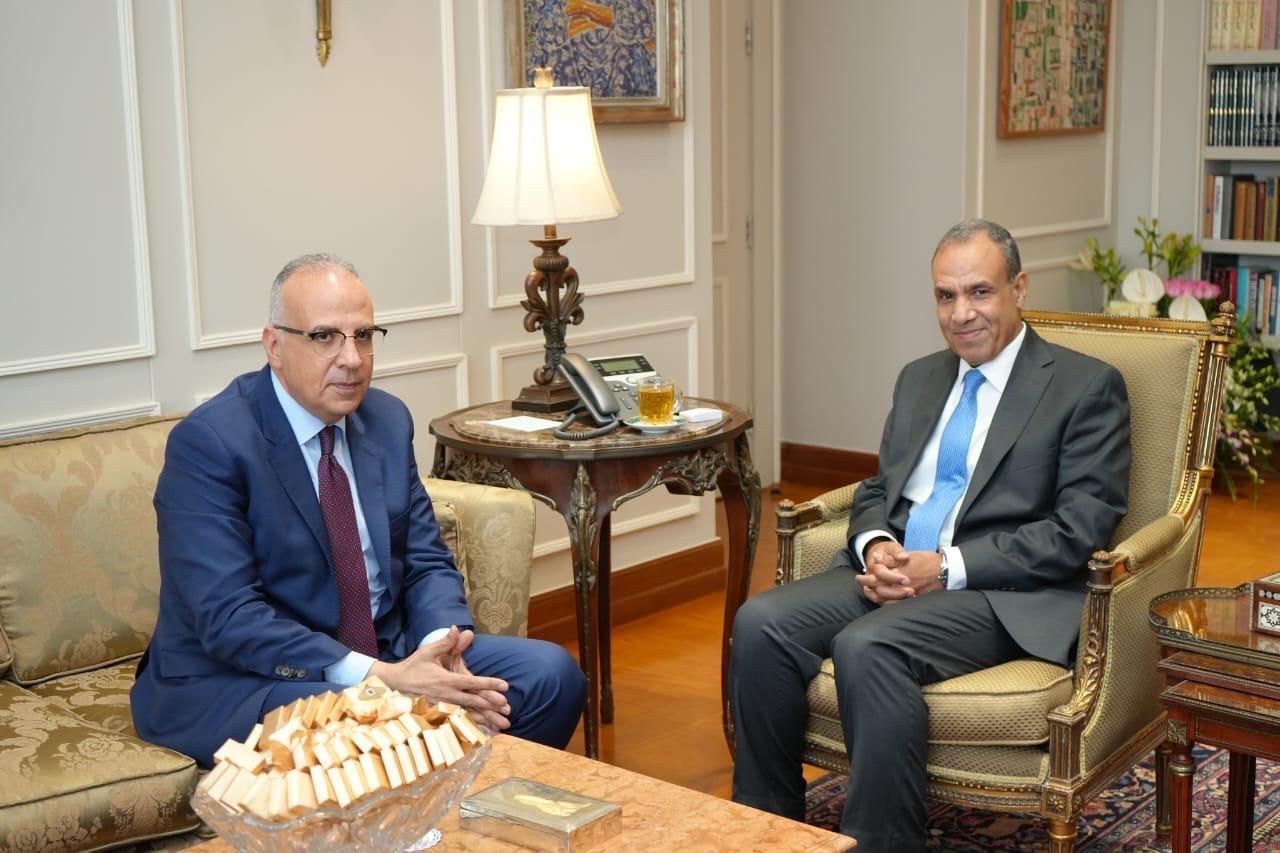 وزيرا الخارجية والري يبحثان التنسيق في التغير المناخي وعلاقات دول حوض النيل