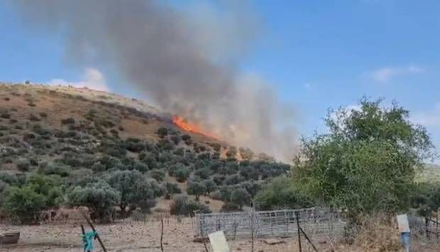 إعلام إسرائيلى: 10 فرق إطفاء و6 طائرات تعمل لإخماد حرائق بالجليل الأسفل