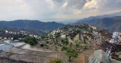 أخبار اليمن : أمطار ورياح وسيول.. الأرصاد يحذر مجداً