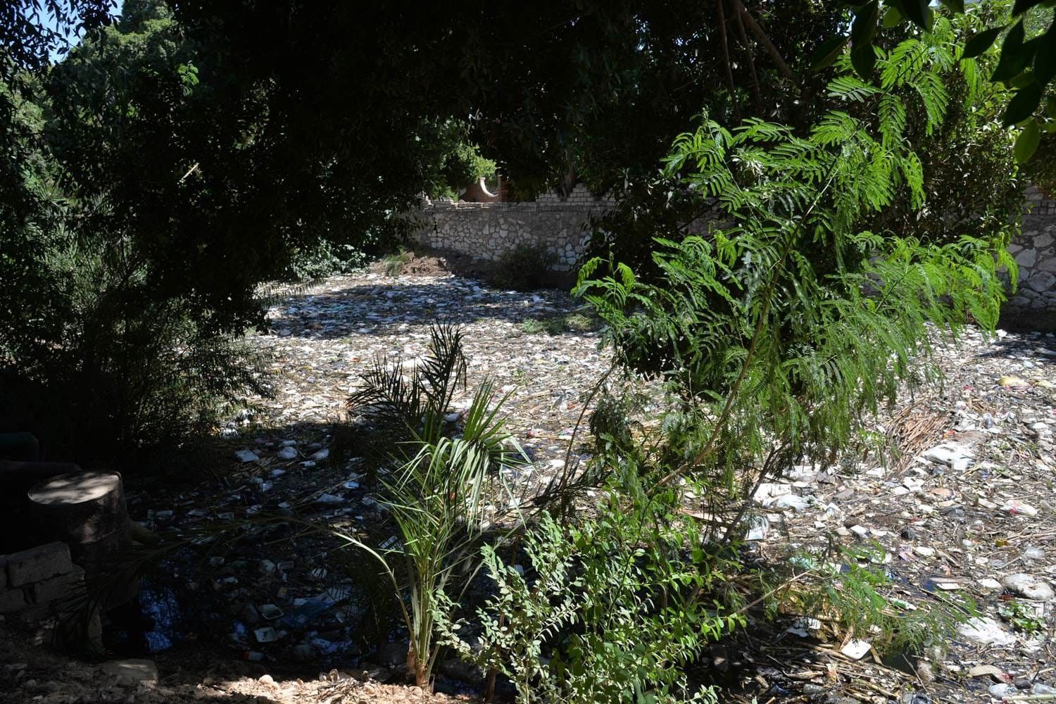 محافظ أسيوط يوجه بتطهير ترعة السنط ورفع القمامة والمخلفات خلال جولته بأبنوب