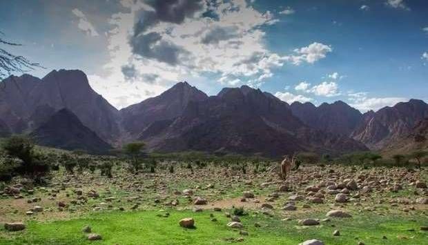 لوحة فنية عبر «إكسترا نيوز».. أهم جوانب الجمال بمحمية جبل علبة (فيديو)