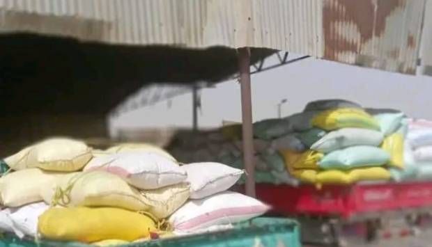 محافظ الشرقية: 615371 طنا و155 كيلو إجمالي القمح الوارد للصوامع