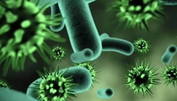 أحدث أساليب التكنولوجيا.. الكشف عن أنواع الميكروبات وطرق مهاجمتها للجسم