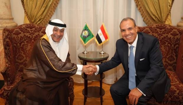 وزير الخارجية: أمن ورخاء دول الخليج مصلحة مصرية مباشرة