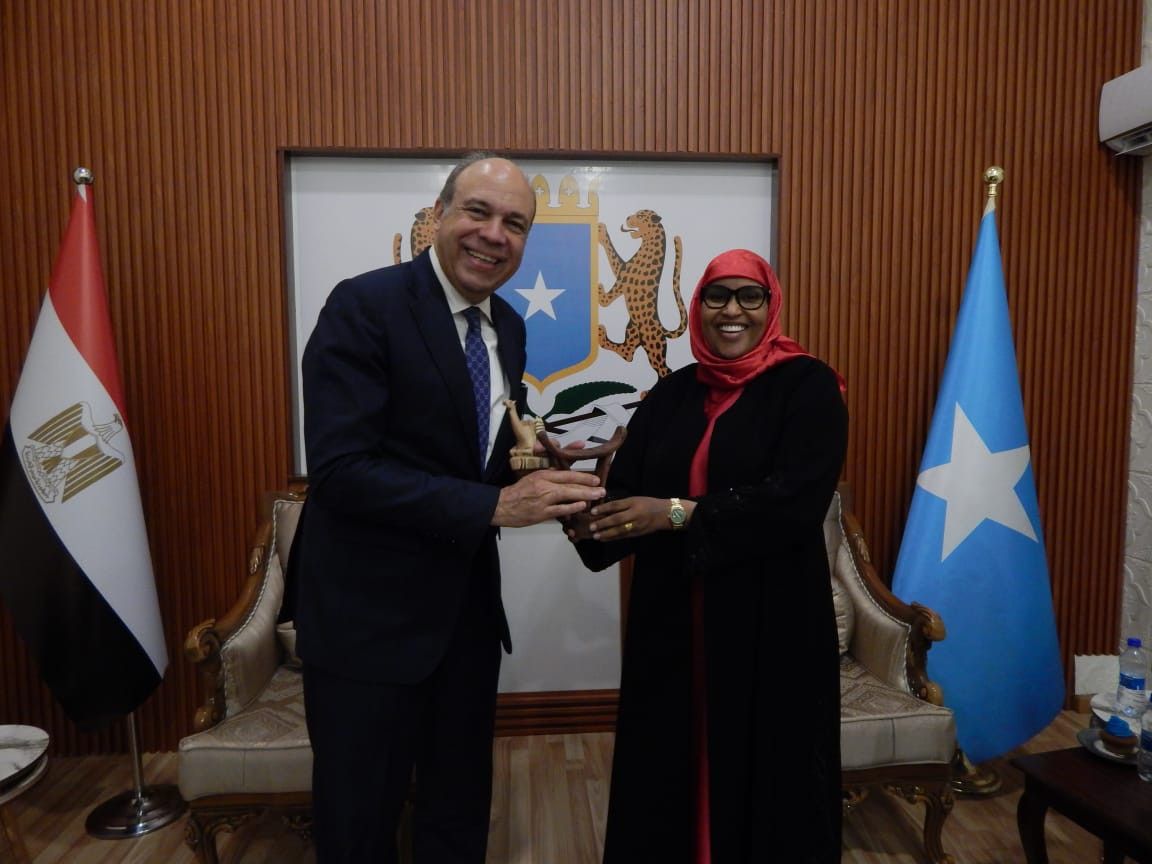 وزير الطيران: نستهدف وصول رحلات الناقل الوطني إلى 30 دولة أفريقية