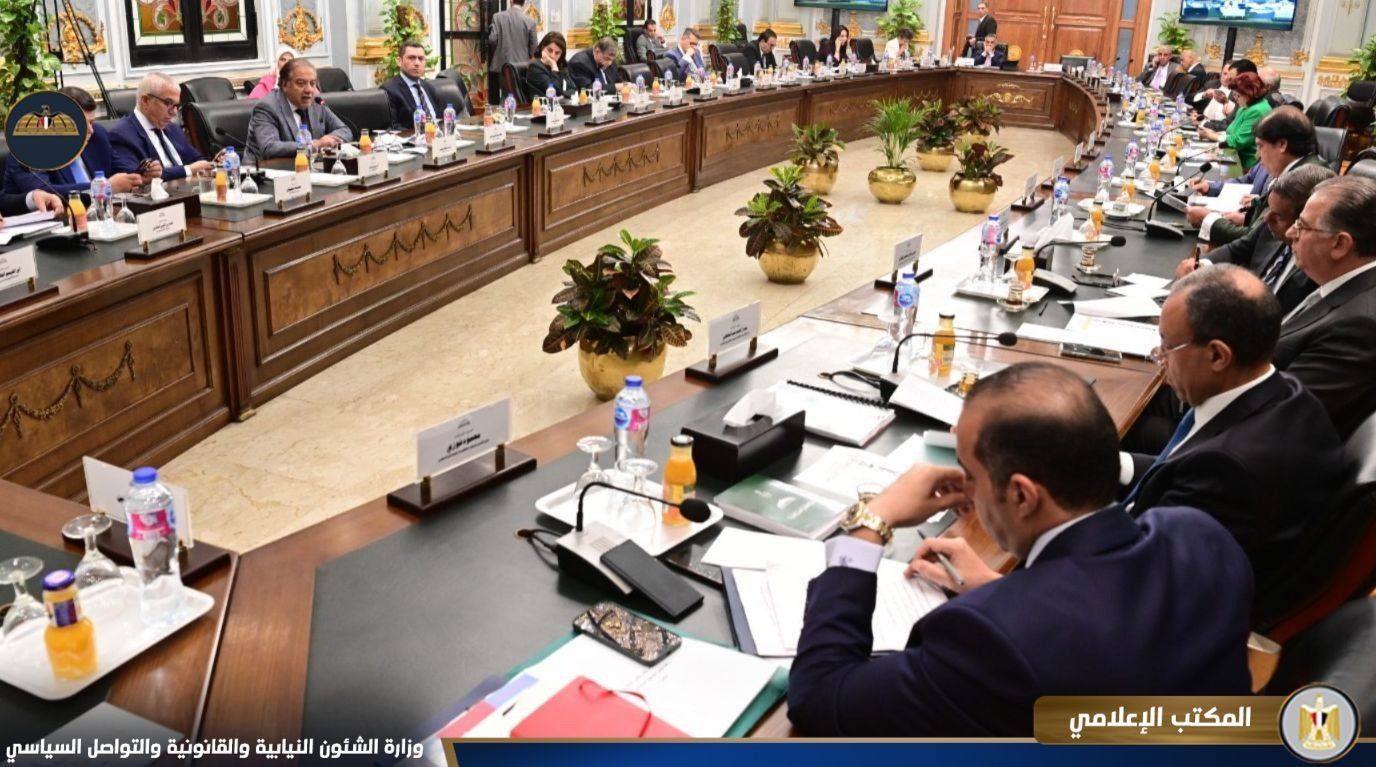 محمود فوزي أمام لجنة دراسة برنامج الحكومة: محور الأمن القومي له أولوية قصوى