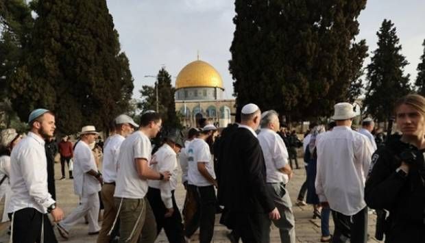 عاجل.. مستوطنون يقتحمون باحات المسجد الأقصى بحماية الشرطة الإسرائيلية