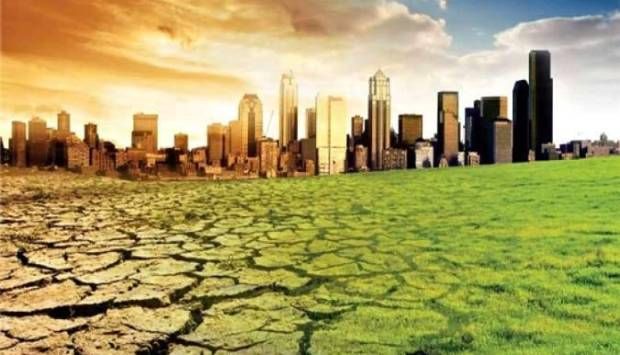 التغيرات المناخية تهدد الأمن الزراعي.. موجات الحرارة تؤثر على أسعار الخضر