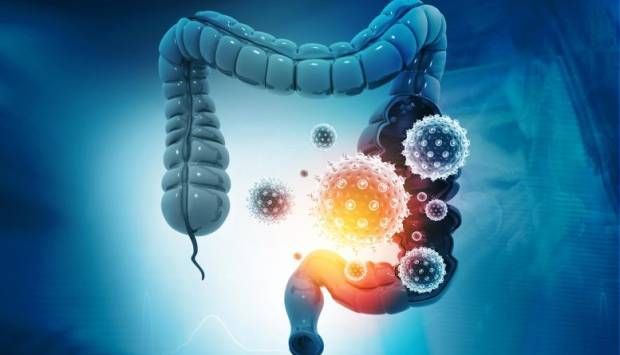 أدوات تكنولوجية.. تطورات مذهلة في كيفية التعرف على «الميكروبيوم المعوي»