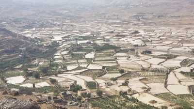 أخبار اليمن : الشوافي يكشف عن حدث ستشهده اليمن نهاية الأسبوع