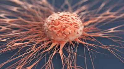 دراسة: بكتيريا الفم «تذيب» بعض أنواع السرطان