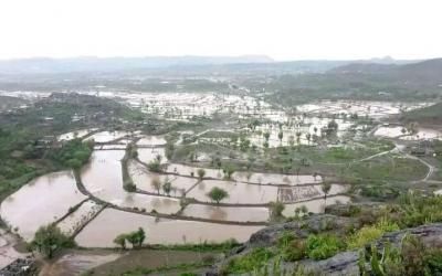 أخبار اليمن : تحذير جديد من الأرصاد: أمطار وسيول وبَرَد