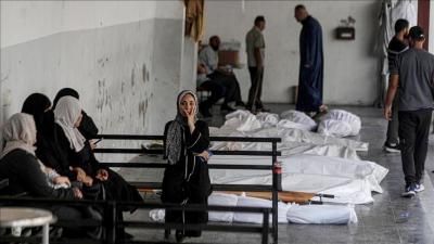 أخبار اليمن : ارتفاع عدد الشهداء في غزة إلى 39400