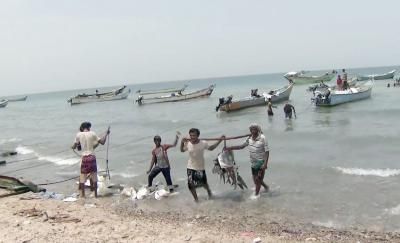 أخبار اليمن : فتح موسم اصطياد الحبار في البحر الأحمر