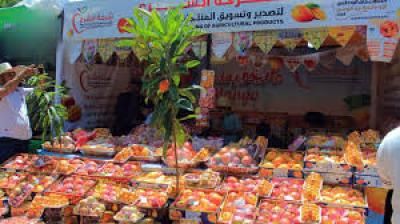 أخبار اليمن : صنعاء: استعدادات لإقامة المهرجان الأول للمنتجات الزراعية