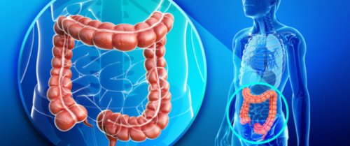 دون الحاجة للطبيب.. شابة مصرية تكشف عن عشبة جبارة موجودة في كل مطبخ تنظف القولون في 5 دقائق وتعتبر الحل الأمثل للتخلص من البراز المتحجر!!