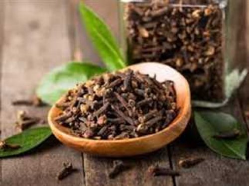 سر خطير في القرنفل تكشفه حسناء سعودية لن تصدق ماهو