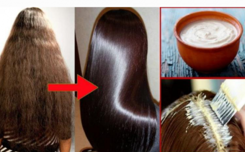 خلى شعرك ناعم وزي الحرير.. وصفات طبيعية تساعد على فك الشعر المتشابك والحصول على شعر ناعم ومفرود