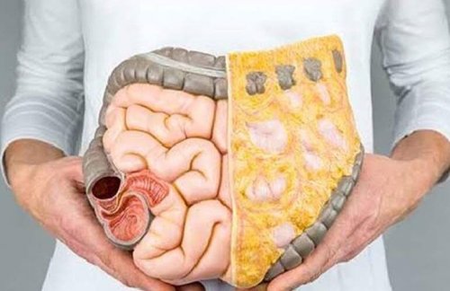 " حل جبار يغنيك عن الدكاترة "... شابة أردنية تكشف عن عشبة جبارة موجودة في كل مطبخ تنظف القولون في 5 دقائق وتعتبر الحل الأمثل للتخلص من البراز المتحجر