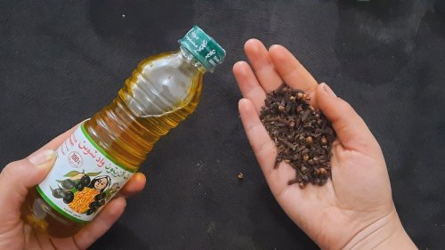 “جربيها و ادعيلي”.. استخدم خليط القرنفل وزيت الزيتون بهذه المنطقة على جسدك واتفرج النتائج (طريقة الاستخدام )