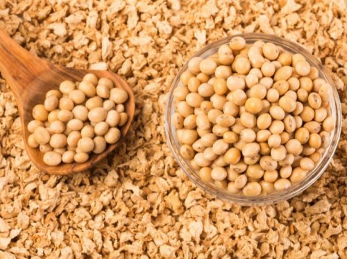 "محدش هيشتري لحمة تاني".. بديل سحري ورخيص الثمن يحتوي على البروتين المتواجد في اللحوم.. بتوع الجيم هيموتوا من الفرحة!