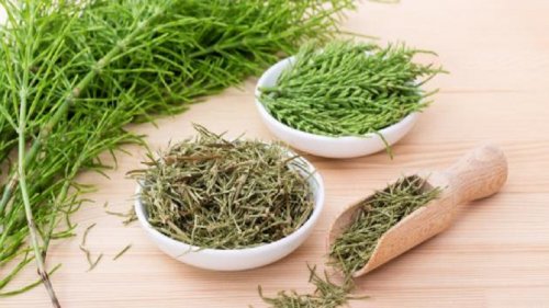 معجزة بكل المقاييس .. عشبة ربانية تفرز انسولين طبيعي بدون دواء و تجدد خلايا البنكرياس وتعيد تنشيط الخلايا الميتة .. وداعاً لمرض السكر