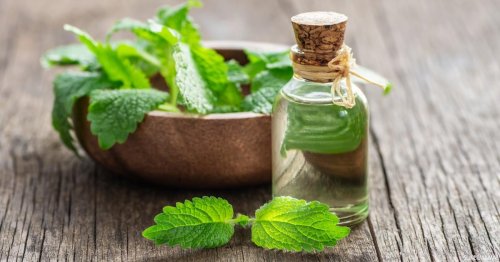 "عشبة جبارة " ... حلول طبيعية ستجدها في هذا النبات بنتائج فوق الوصف