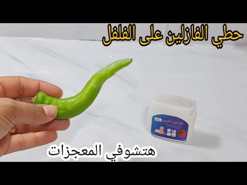 للكبار فقط !. لو عندك قرن فلفل ومعلقة من الفازلين هقولك علي حاجة هتندمي لو مجربتهاش .. ستغير حياتك الزوجية !