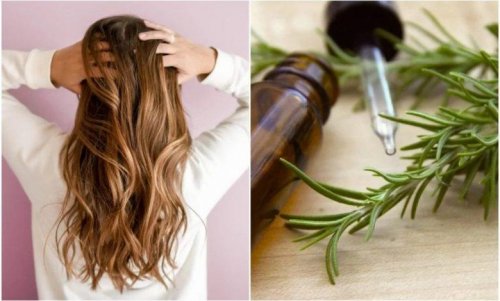 العشبة السحرية.. نبات سحري بقوة الصاروخ هيحققلك حلمك وموجود عندك في المطبخ