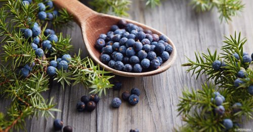 99% يجهلون قيمتها ! اكتشف سر العشبة التي تعيد احياء الكبد مهما كان تلفه وتقضي على الكوليسترول وتعالج الزكام بسرعة لن تتوقعها .. !