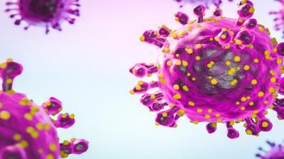 ما هي حمى “الكسلان”؟