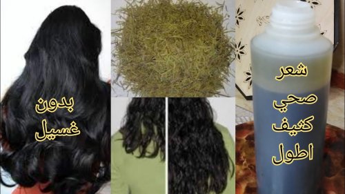 كنز من كنوز علي بابا: عشبه لو علمت النساء بمنافعها لتطويل الشعر وتكثيفه لاشتروها بالذهب ... تطويل الشعر فى ليله واحده!! مش هتصدق النتيجة المبهرة؟