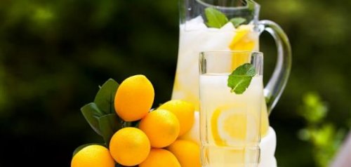 "معلومة ب 600 جنيه"… تعرف على زراعة الليمون بشكل صحيح… مش هتحتاج تشتريه تاني!!