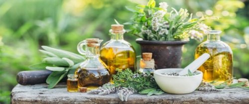 دون الحاجة للتدخل الجراحي.. عشبة سحرية موجودة في كل مطبخ تعالج البواسير وتخلصك من الإمساك المزمن في 5 دقائق