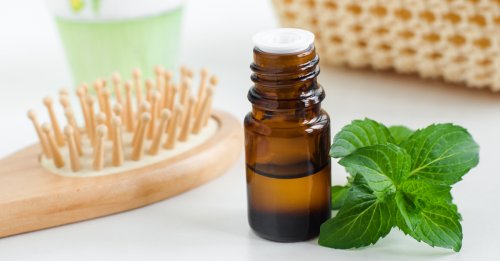 حياتك هتتشقلب 360 درجة.. عشبة مشهورة محدش كان يتخيل مفعولها الجبار هتشقلب حياتك