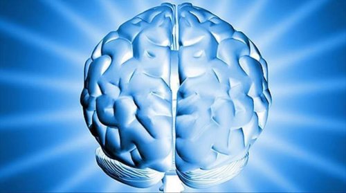 اعجاز رباني كبير لطعام متوفر برخص التراب. يحمي المخ من التلف ويمنعه من التجلط ويجعلك الذاكرة حديد في ايام