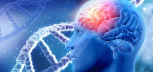 معجزة "ربانية" طعام بسيط يغذي ,,المخ ويحسن بنية الدماغ ويقوي الذاكرة خلال وقت قصير"احرص عليه"!