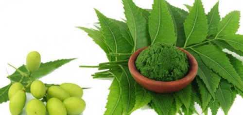 «معجزة ربانية».. أوراق هذه الشجرة تقضي على مشكلة السكري وتخفض نسبة السكر بشكل مذهل !