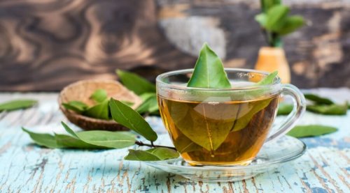 وداعاً للوزن الثقيل.. معجزة ورق الغار لديه قدره خارقه يذيب الدهون الصعبه ويزيل الكرش نهائيا استخدمه بهذه الطريقة