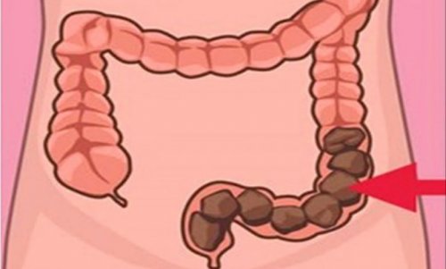 «فتاة مصرية»... تكتشف عشبة مطبخية عظيمة تنظف القولون بسرعة البرق وتعتبر الحل الأمثل للتخلص من البراز المتحجر "وداعًا لزيارات الطبيب"بعد اليوم!