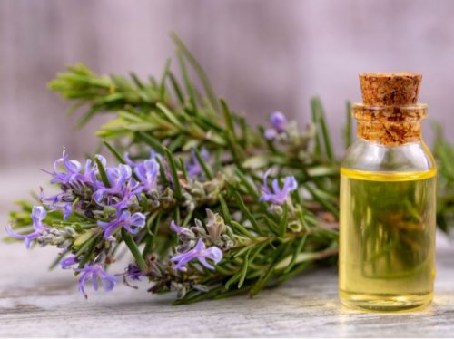 "دور عليها وإستخدمها"... عشبة موجودة في البيت لن تتخيل حجم فائدتها الثمينة... مش هتصدق قيمتها الحقيقية