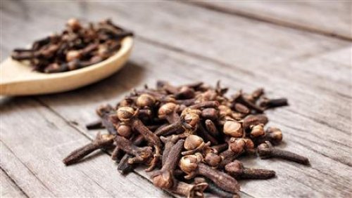 «ممنوع دخول اصحاب القلوب الضعيفة».. إليكم أخطر 9 طرق لمضغ القرنفل اتفرج المفاجأة.. ستغير حياتك إللي الأفضل!!