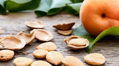 "سم قاتل يؤدي للوفاة".. تحذير خطير من تناول بذور هذه الفاكهة .. قد تدمر حياتك خلال دقائق تعرف عليها وتجنبها فورا"