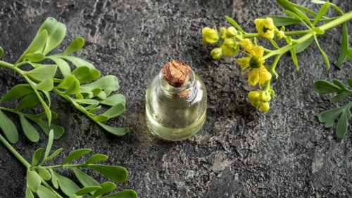 "باي باي للشعر القصير"..عشبة طبيعية تساعد في تطويل الشعر بصورة مذهلة.. تعرف عليها!!