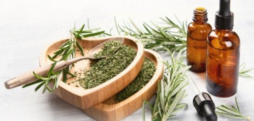 ”ضاع عمرنا واحنا منعرفش”..عشبة سحرية تعمل علي إعادة الأمل والحياة للعجائز..العشبة كنز في كل منزل.. لن تصدق ما الذي تحتويه.!