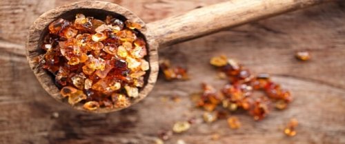 اخيرا..حل مشكلتك الى الأبد..انقع هذه العشبة في ماء وتناوله وحول جسدك الى ماكينة حرق لا تتوقف..سوف تخسر كل دهونك في ايام قليله!