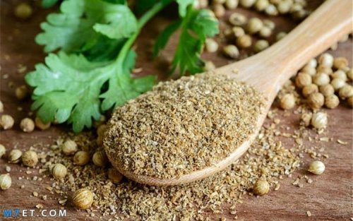 معجزة في مطبخك..عشبة سماوية تحطم الحصوات، تخفض السكر التراكمي، تُطهّر الكبد وتُقوّي الكلى!